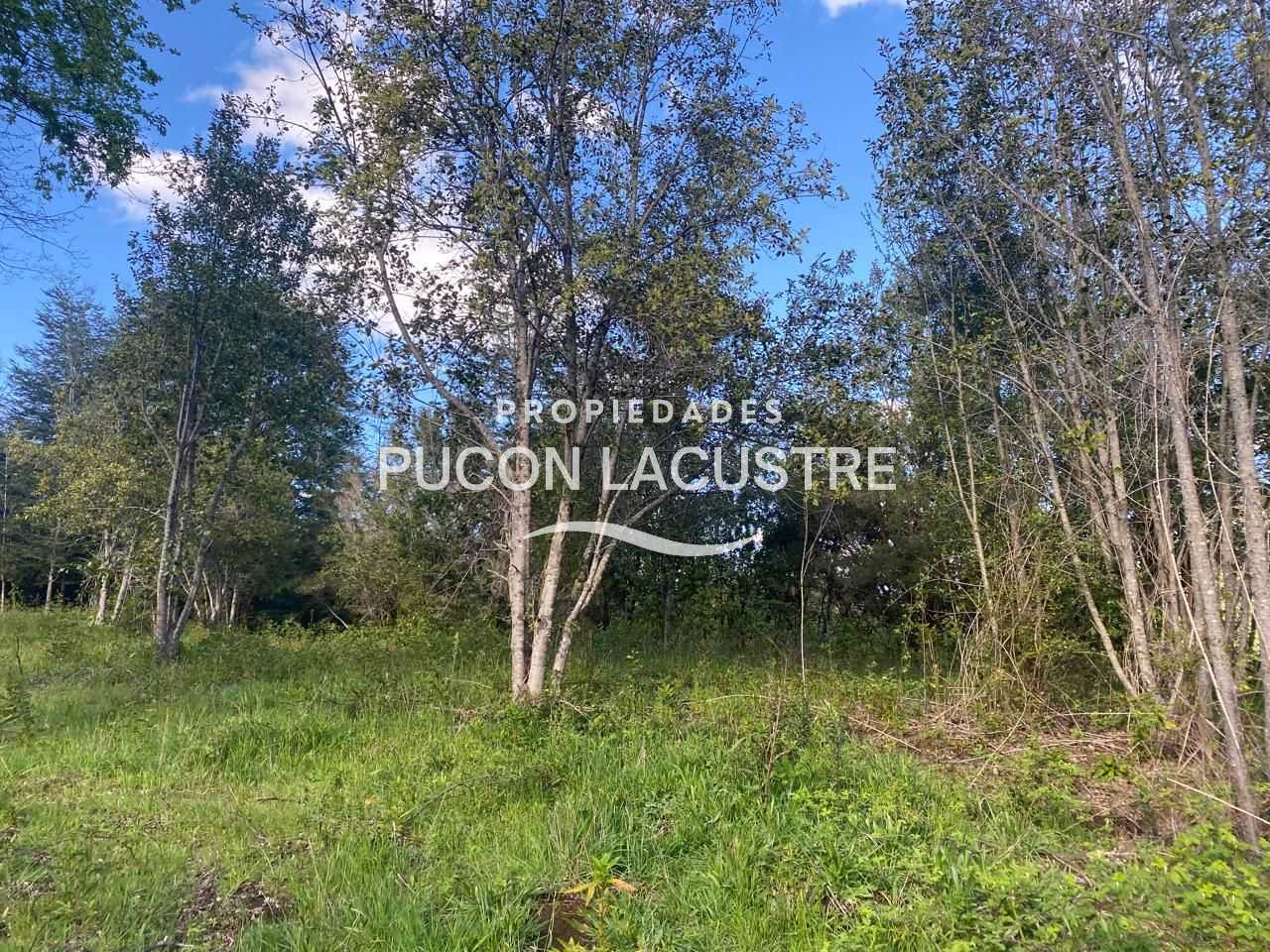 Parcela en Venta en Pucón miniatura 20