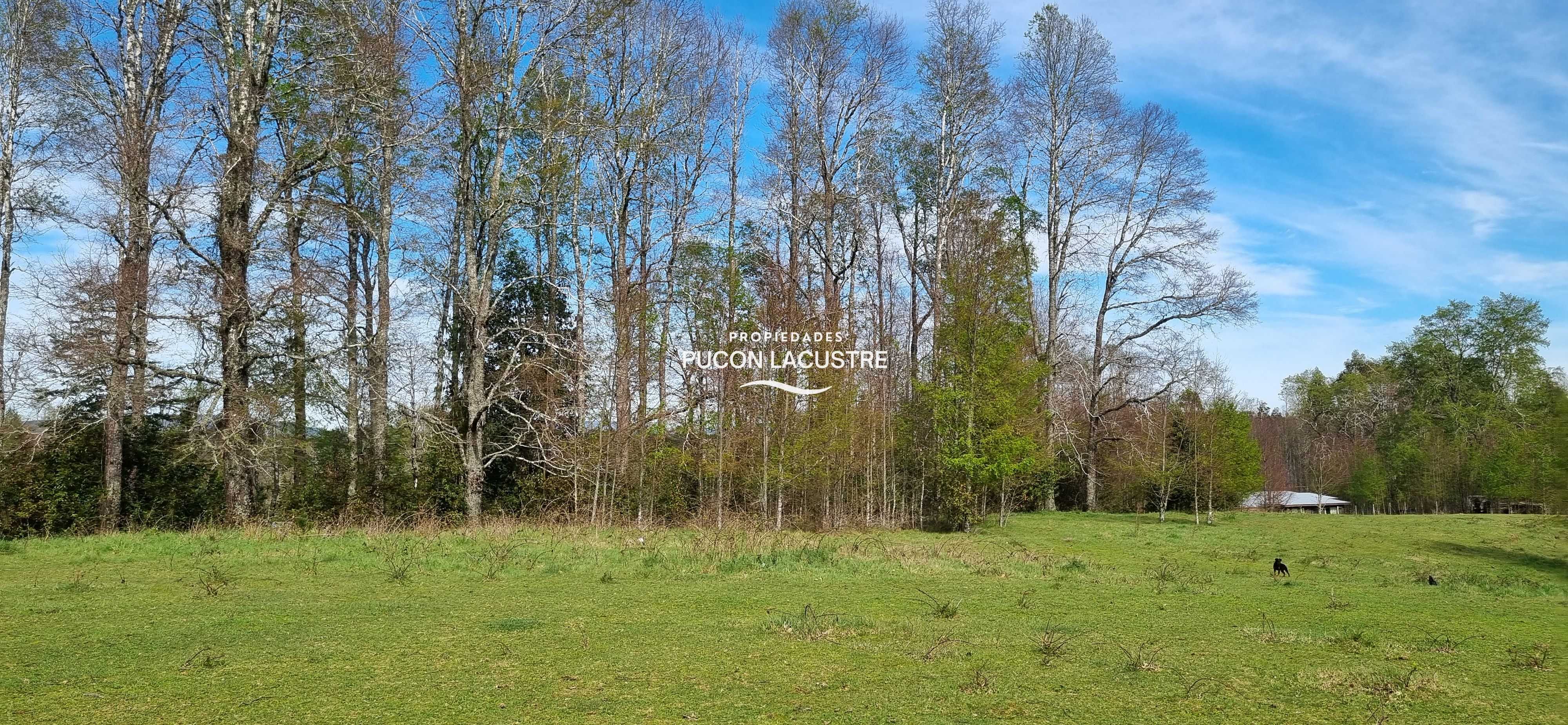 Parcela en Venta en Villarrica miniatura 2