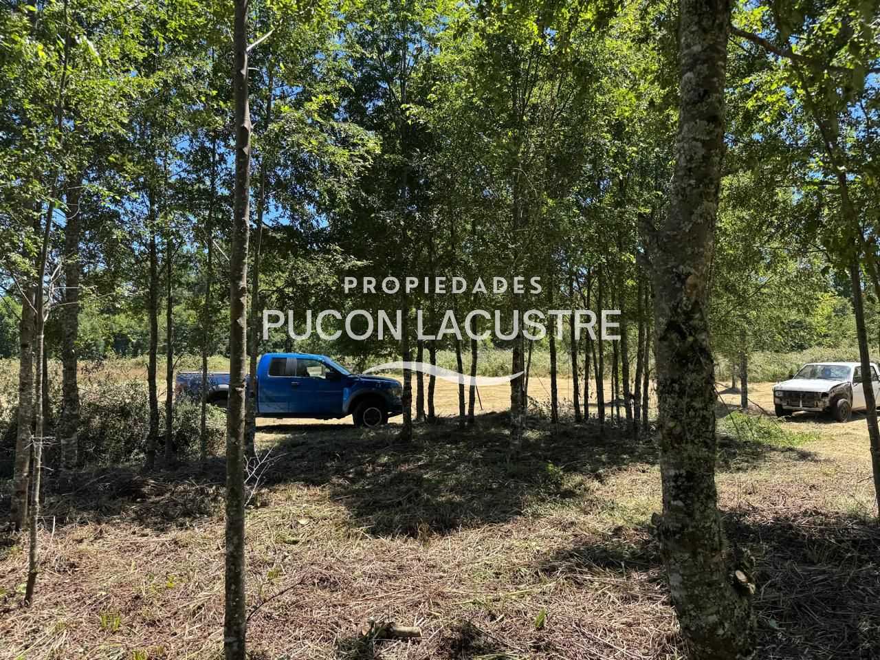 Parcela en Venta en Villarrica miniatura 3