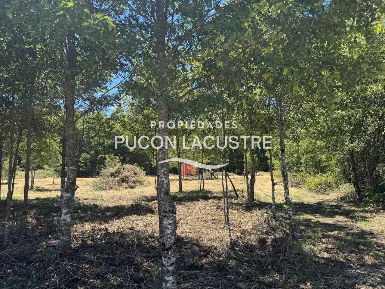 Parcela en Venta en Villarrica miniatura 4