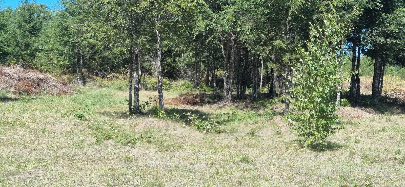 Parcela en Venta en Villarrica miniatura 17