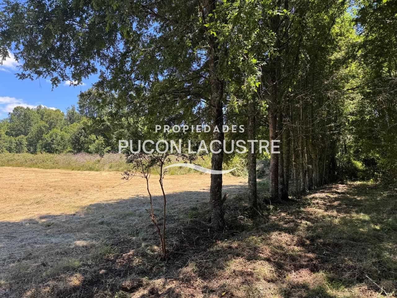 Parcela en Venta en Villarrica miniatura 21
