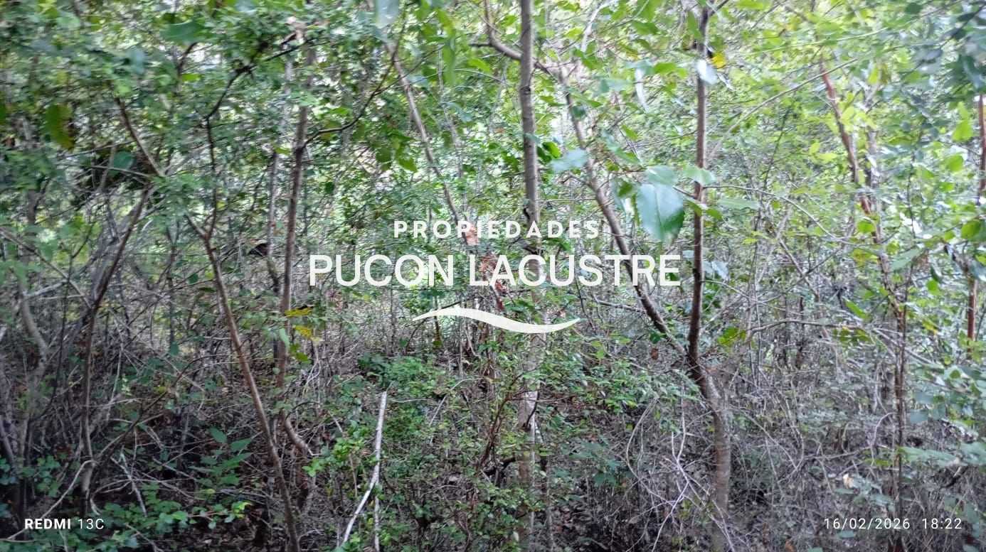 Parcela en Venta en Pucón miniatura 8