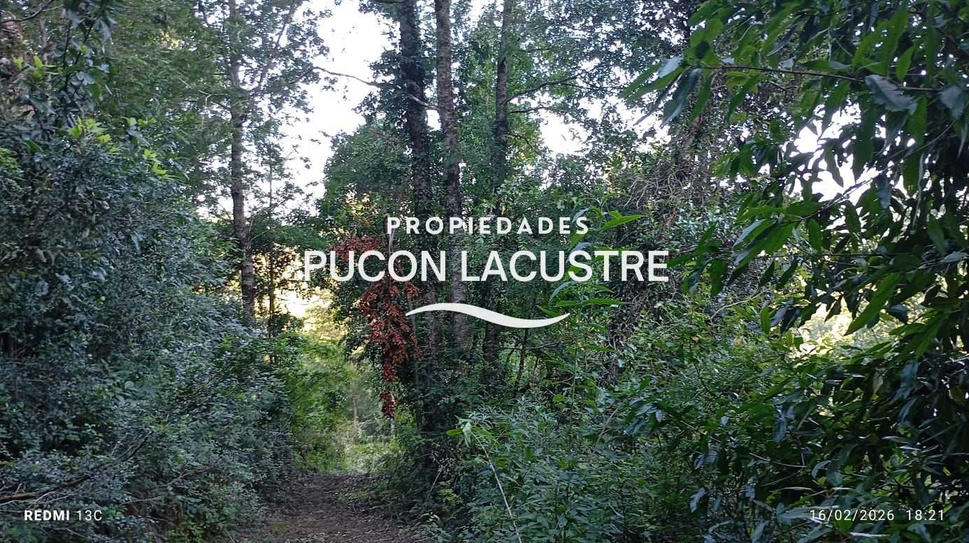 Parcela en Venta en Pucón miniatura 9