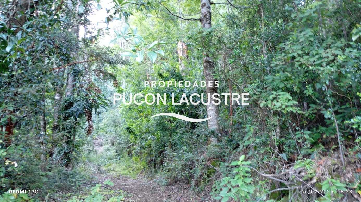 Parcela en Venta en Pucón miniatura 10