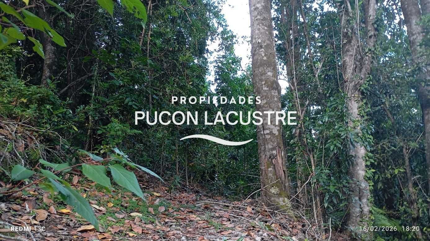 Parcela en Venta en Pucón miniatura 11