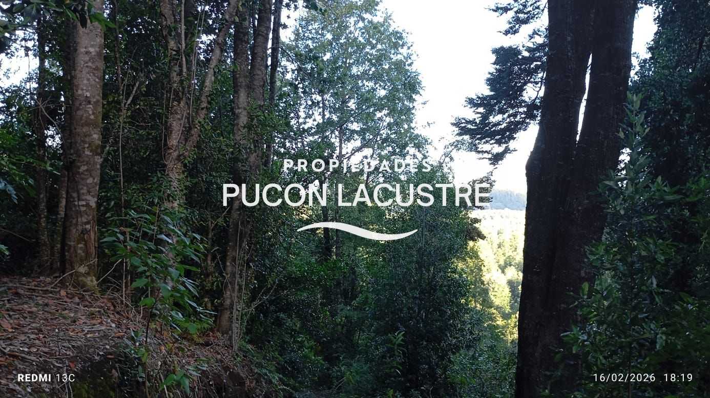 Parcela en Venta en Pucón miniatura 12