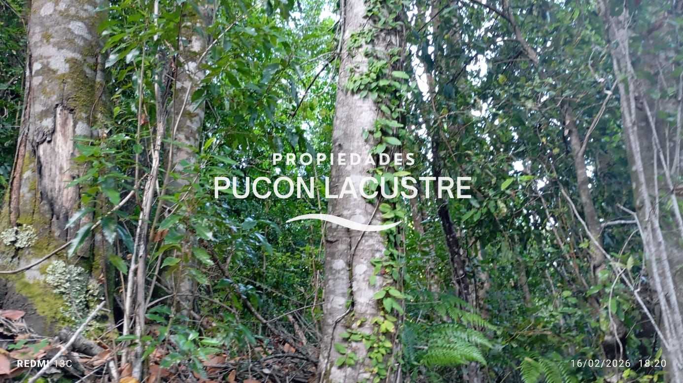 Parcela en Venta en Pucón miniatura 13