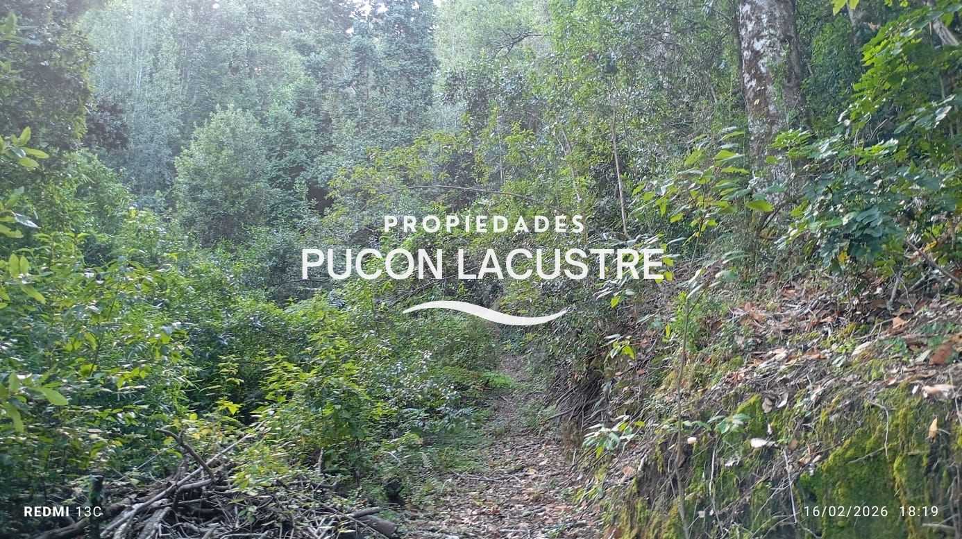Parcela en Venta en Pucón miniatura 14