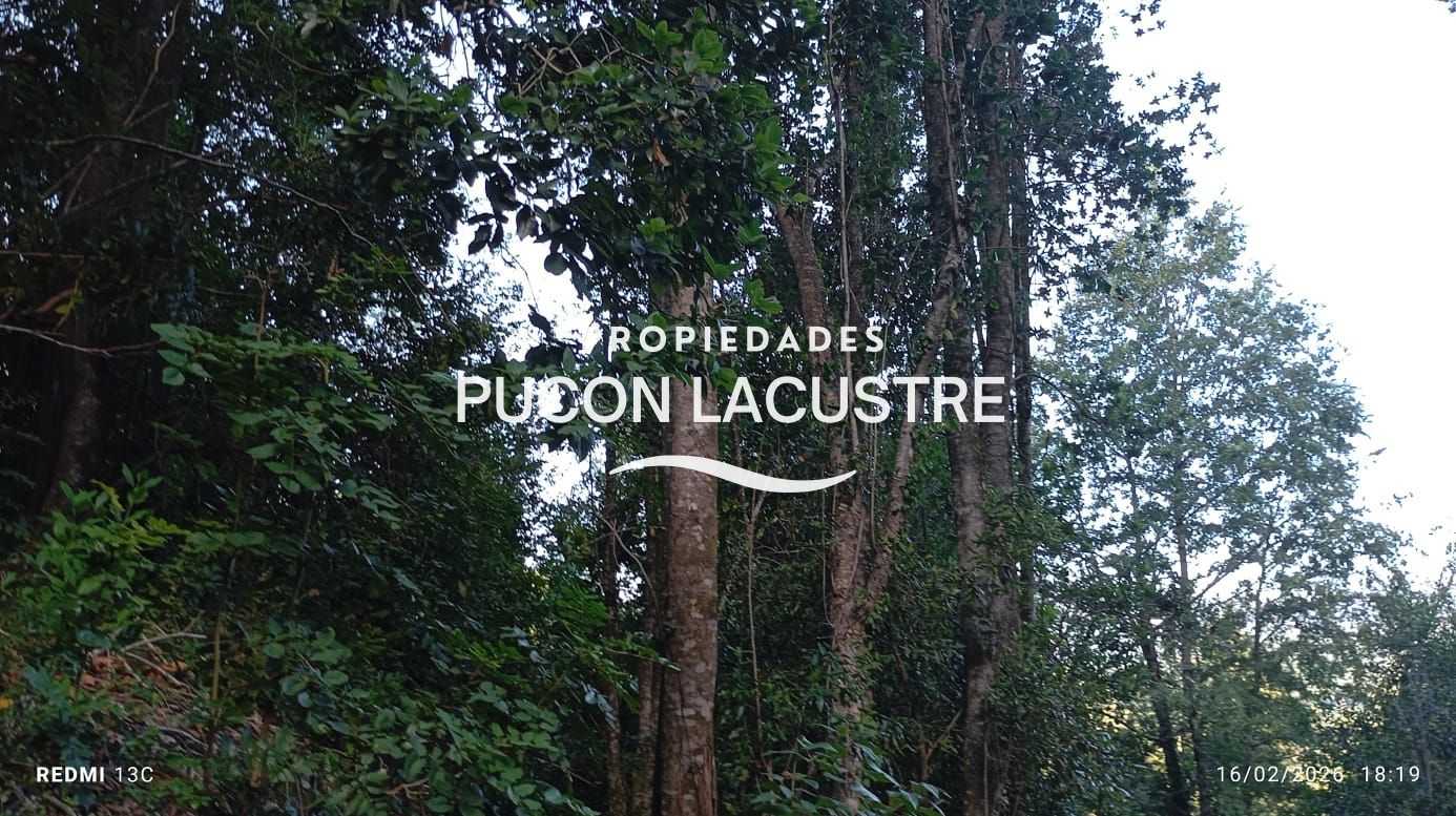Parcela en Venta en Pucón miniatura 21