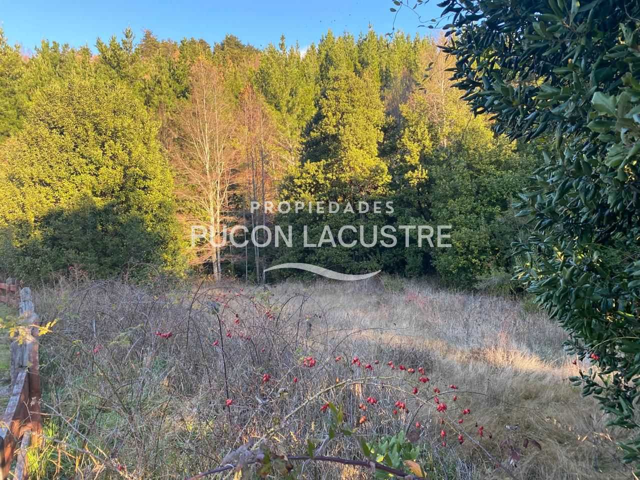 Parcela en Venta en Pucón miniatura 9