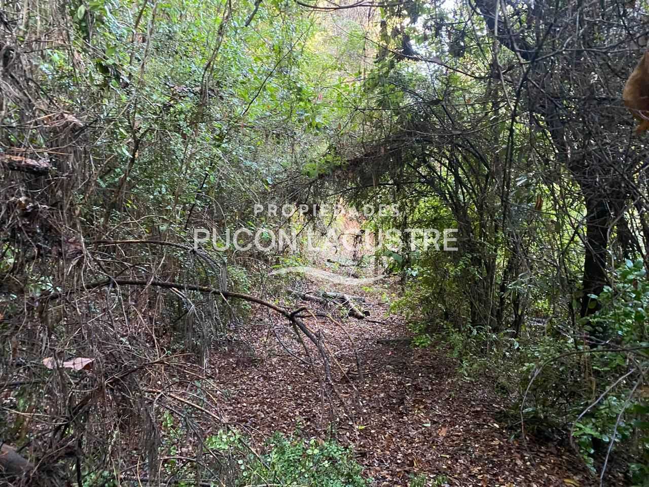 Parcela en Venta en Pucón miniatura 19