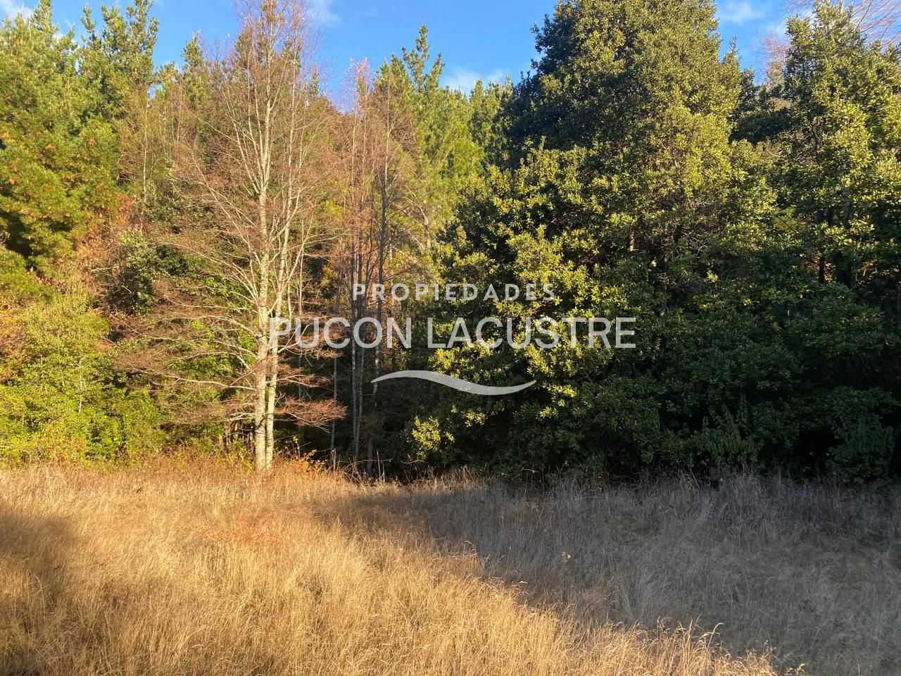 Parcela en Venta en Pucón miniatura 20
