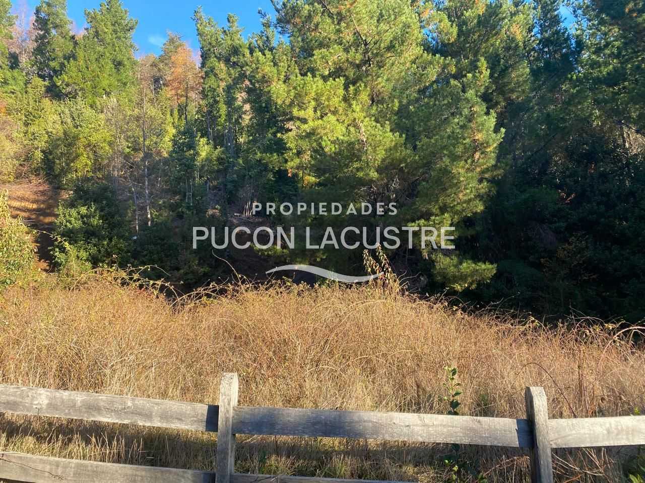Parcela en Venta en Pucón miniatura 21