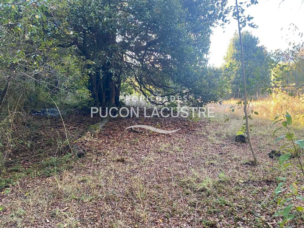 Parcela en Venta en Pucón miniatura 25