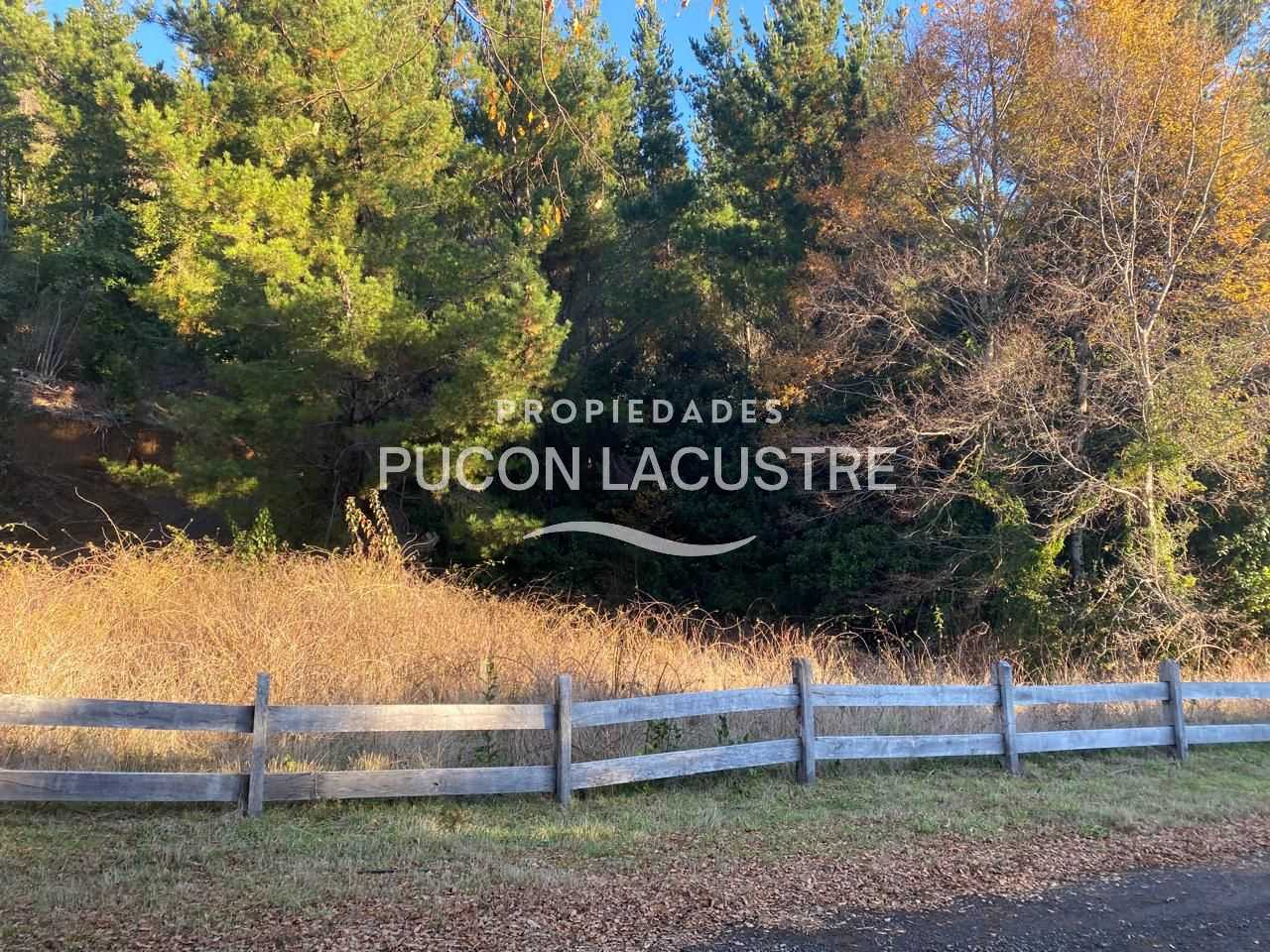 Parcela en Venta en Pucón miniatura 28