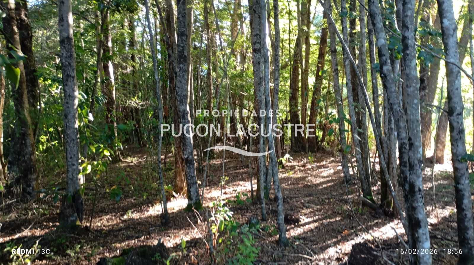 Parcela en Venta en Pucón miniatura 2