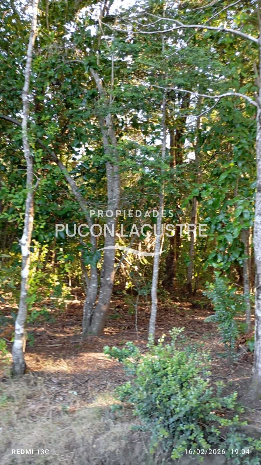 Parcela en Venta en Pucón miniatura 11