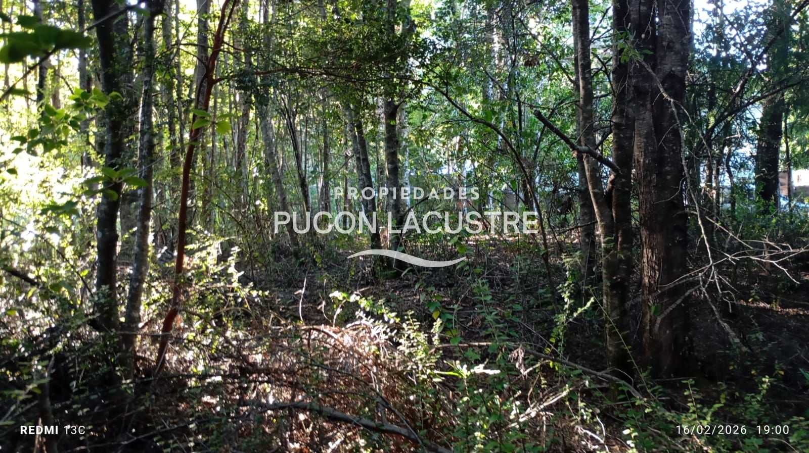 Parcela en Venta en Pucón miniatura 12
