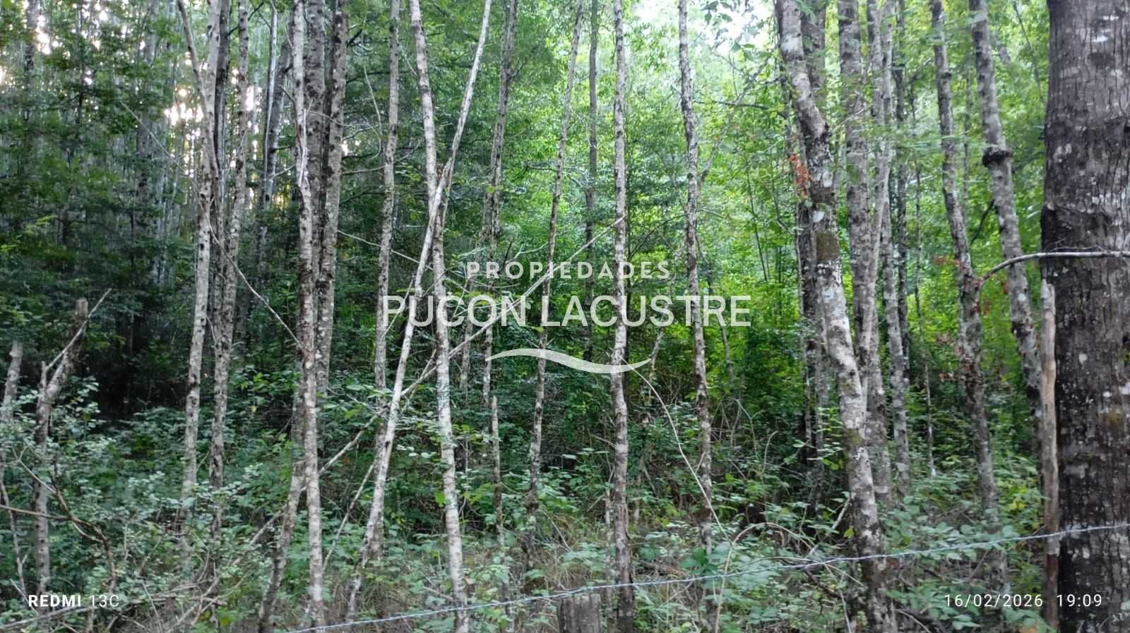 Parcela en Venta en Pucón miniatura 18