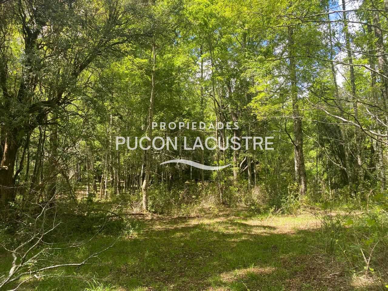 Parcela en Venta en Pucón miniatura 3