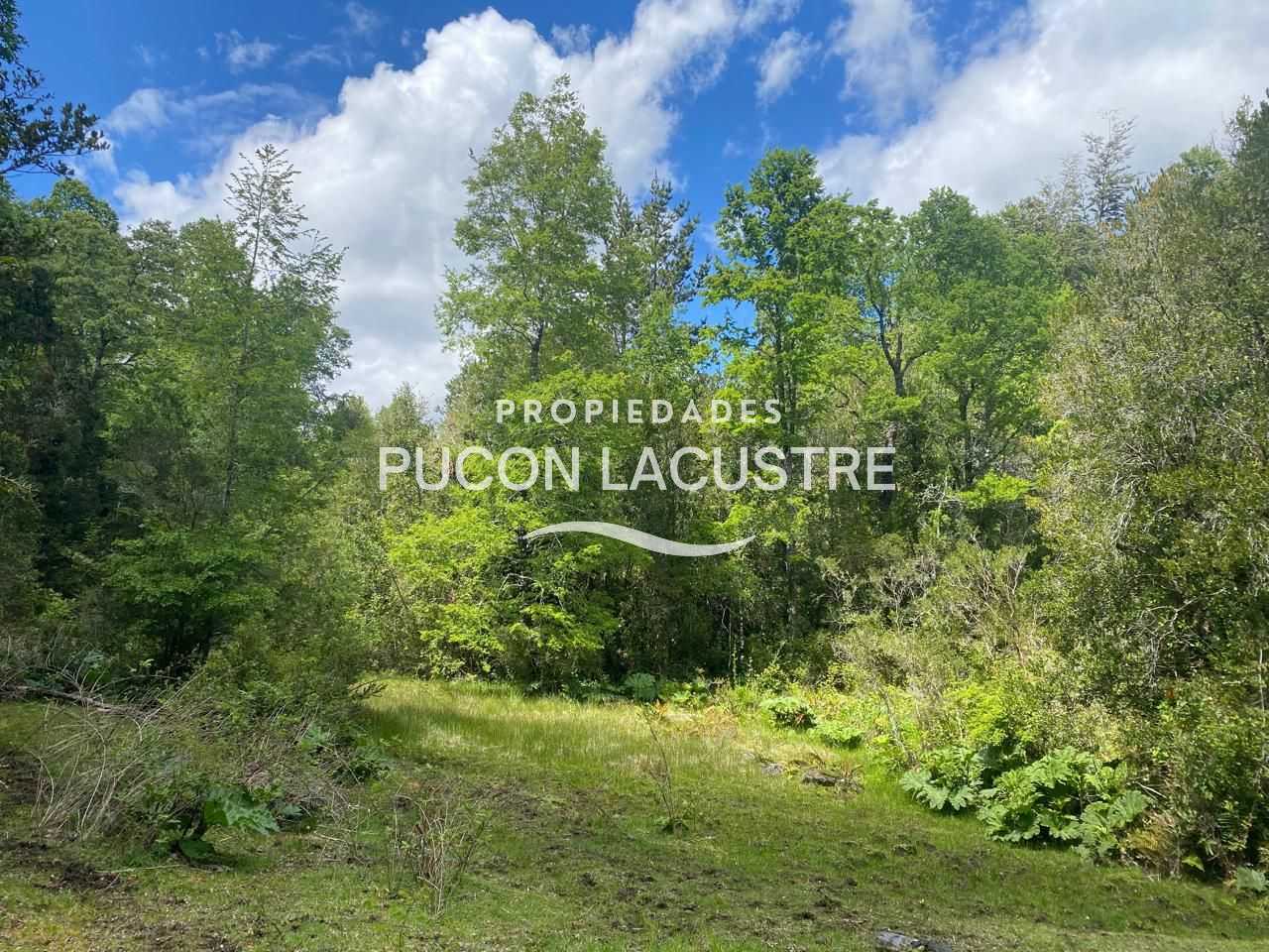 Parcela en Venta en Pucón miniatura 7