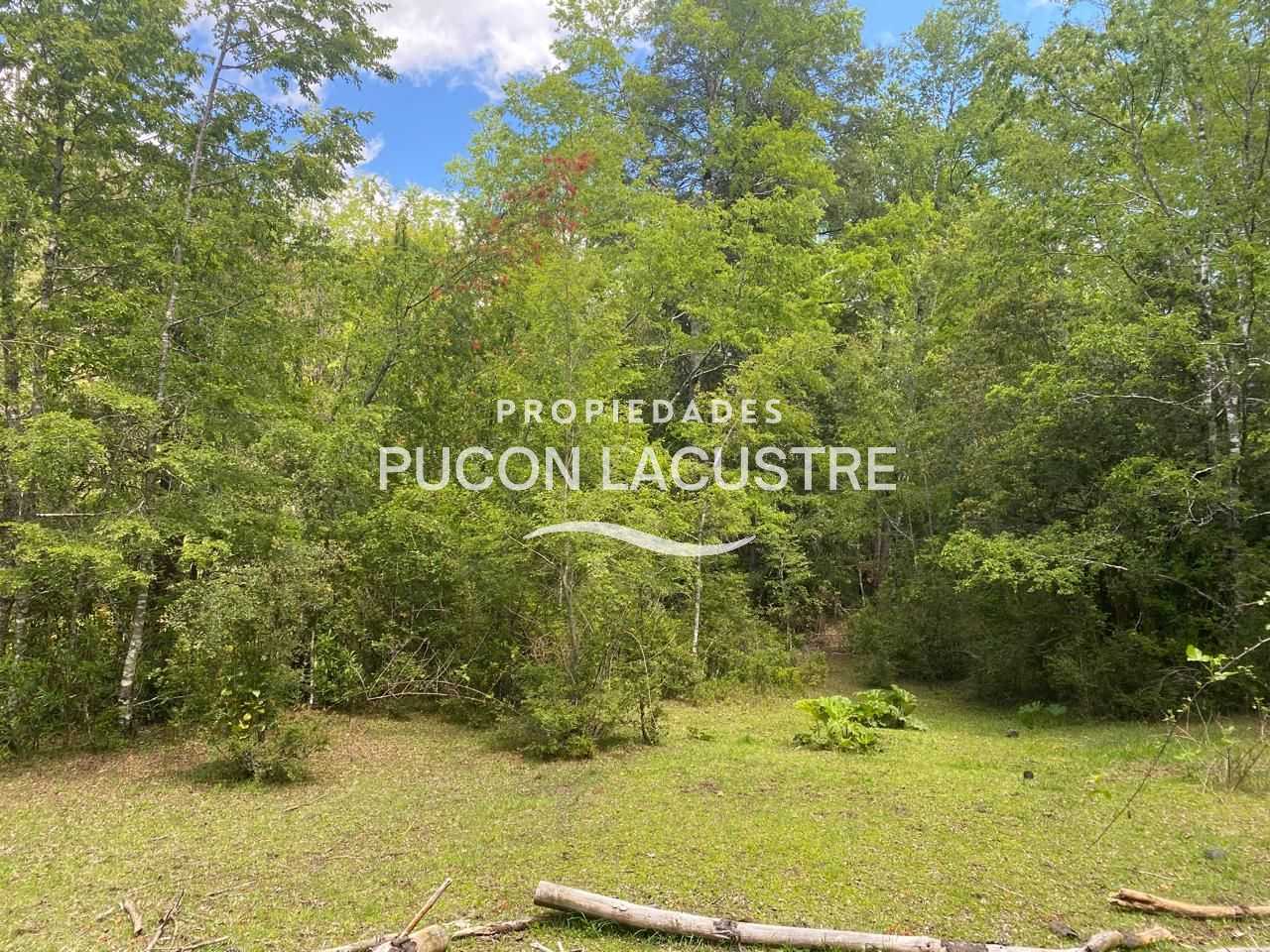 Parcela en Venta en Pucón miniatura 9