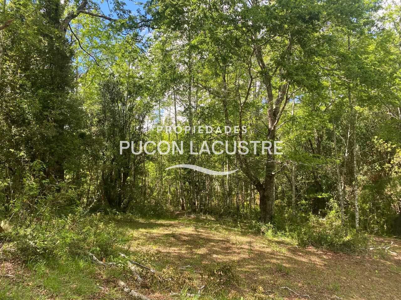 Parcela en Venta en Pucón miniatura 10