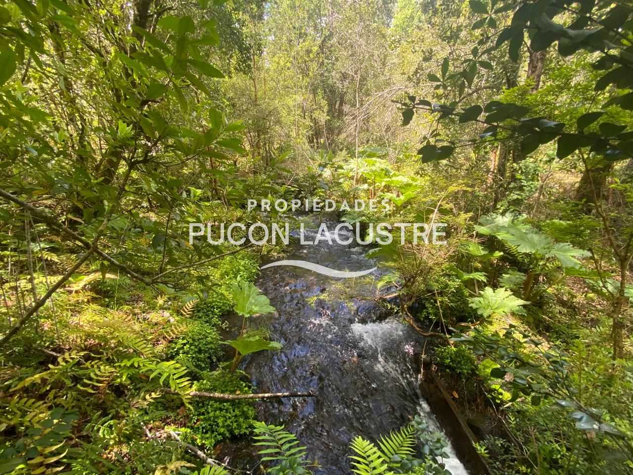Parcela en Venta en Pucón miniatura 13
