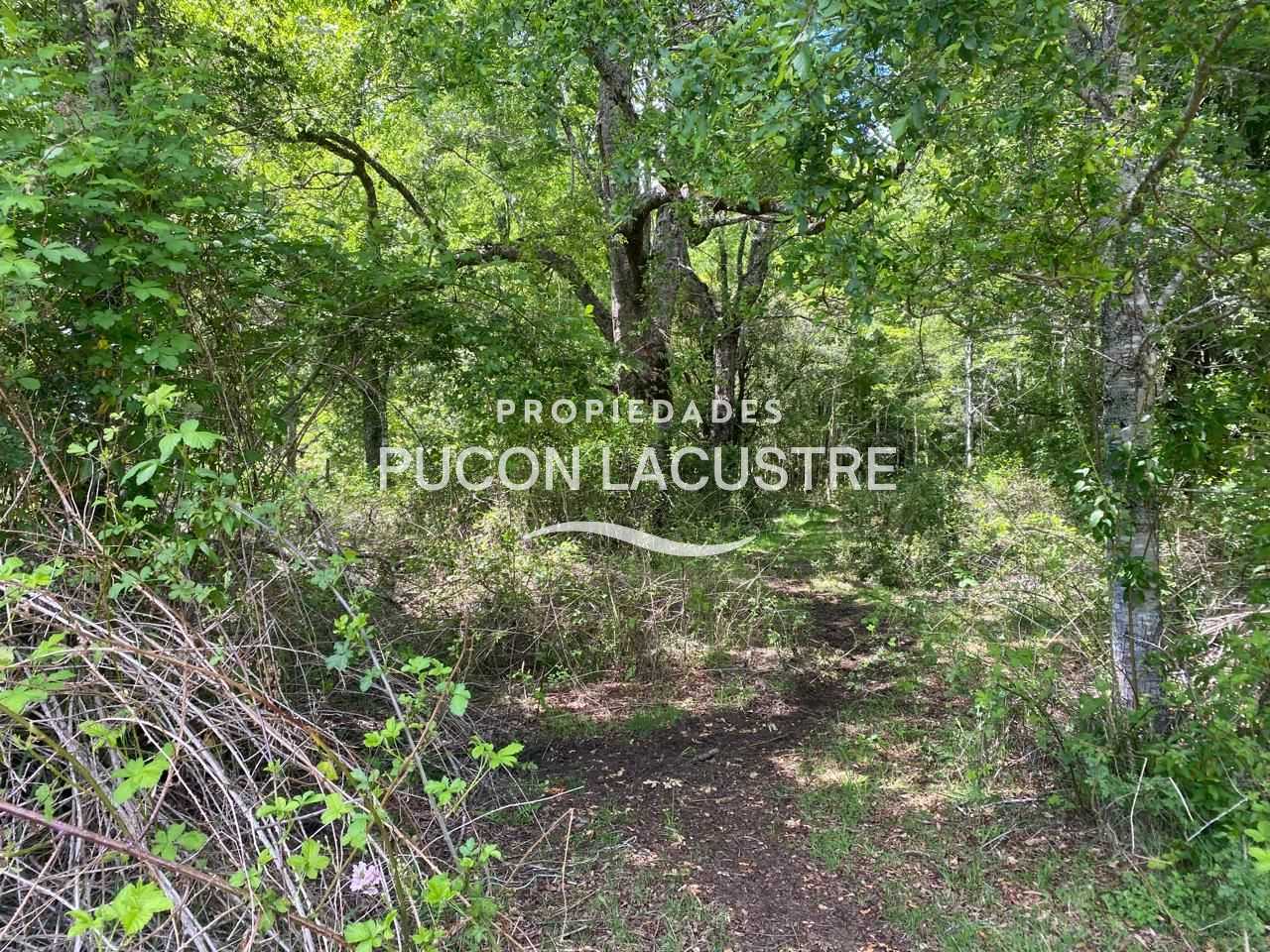Parcela en Venta en Pucón miniatura 16