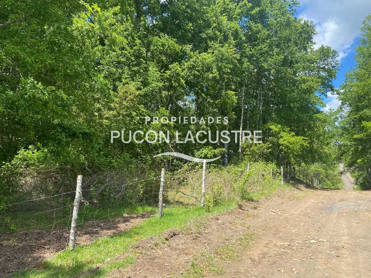 Parcela en Venta en Pucón miniatura 17