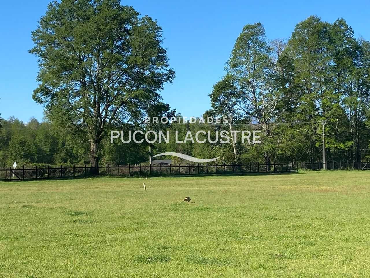 Parcela en Venta en Villarrica miniatura 13