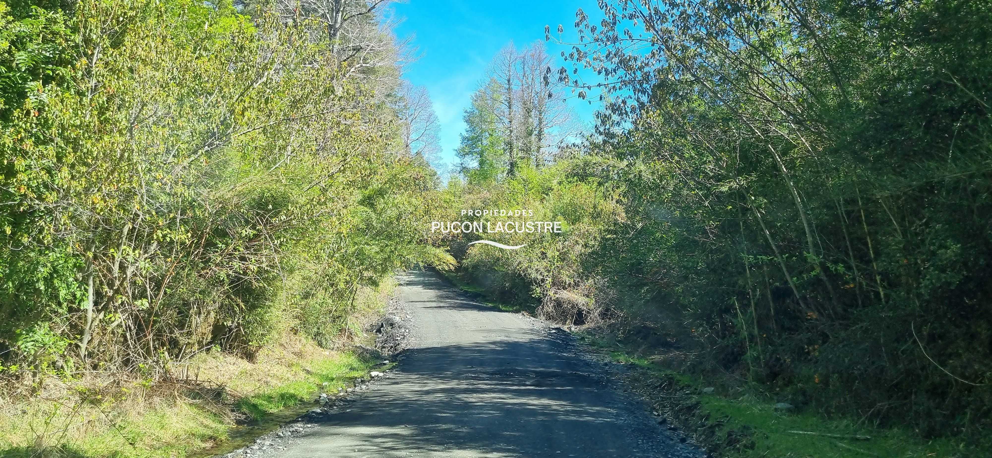 Parcela en Venta en Panguipulli miniatura 5