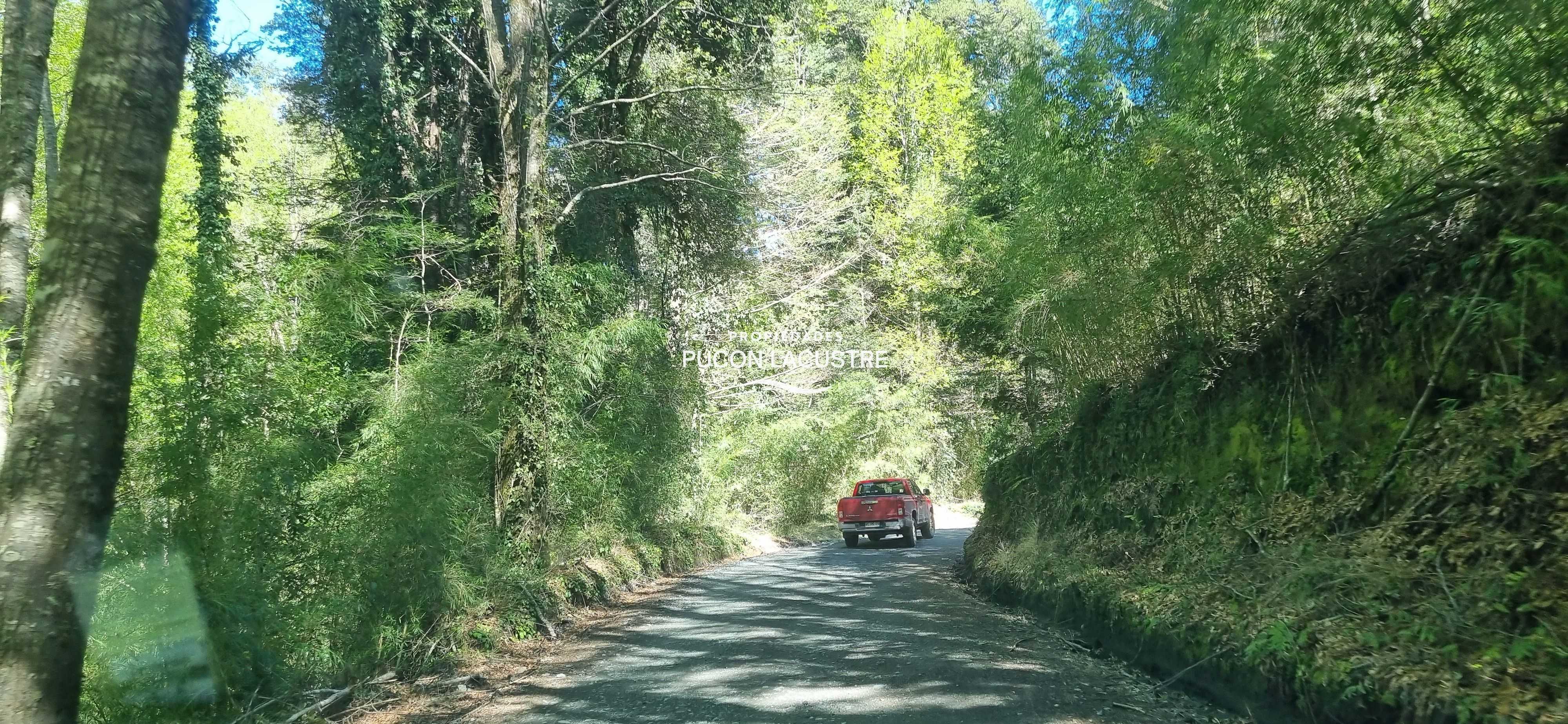 Parcela en Venta en Panguipulli miniatura 10