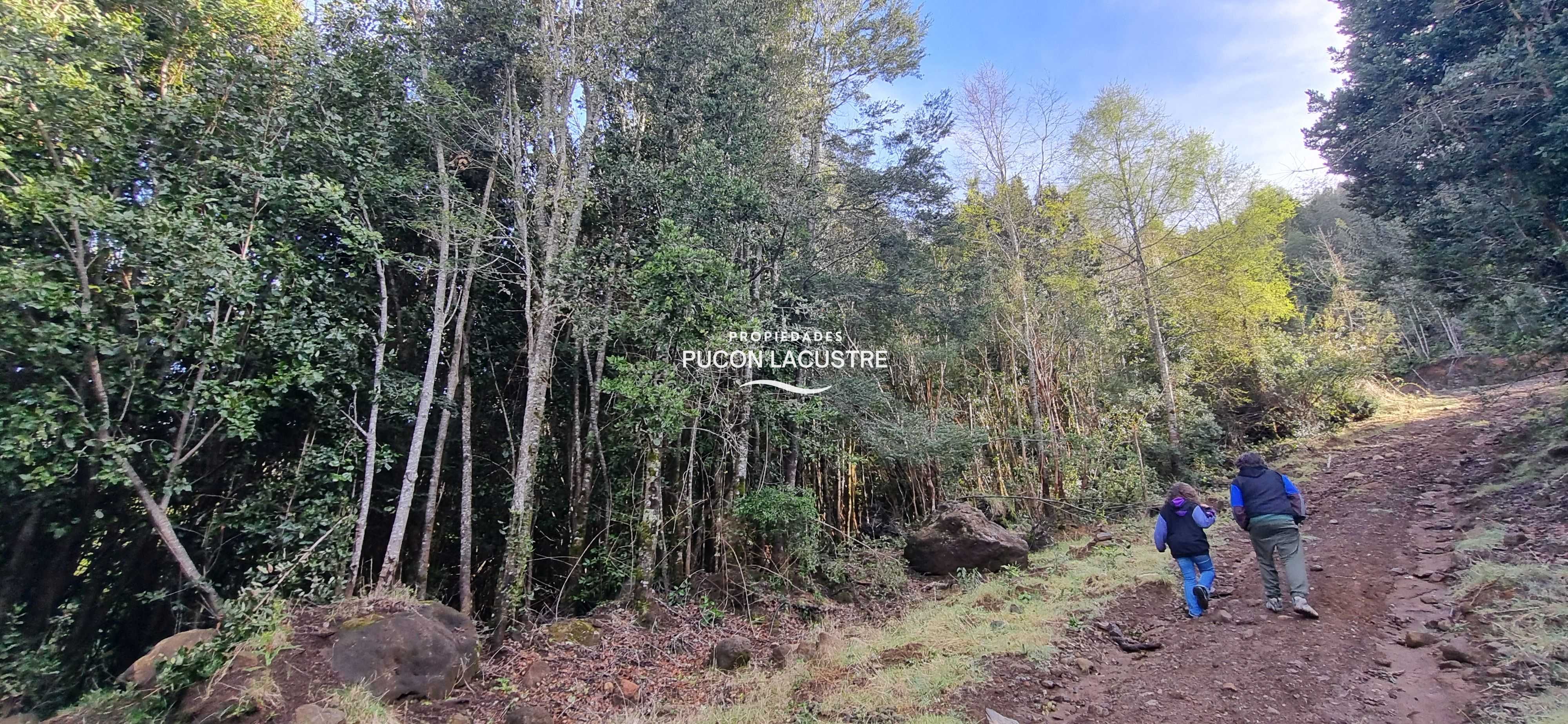Parcela en Venta en Villarrica miniatura 3