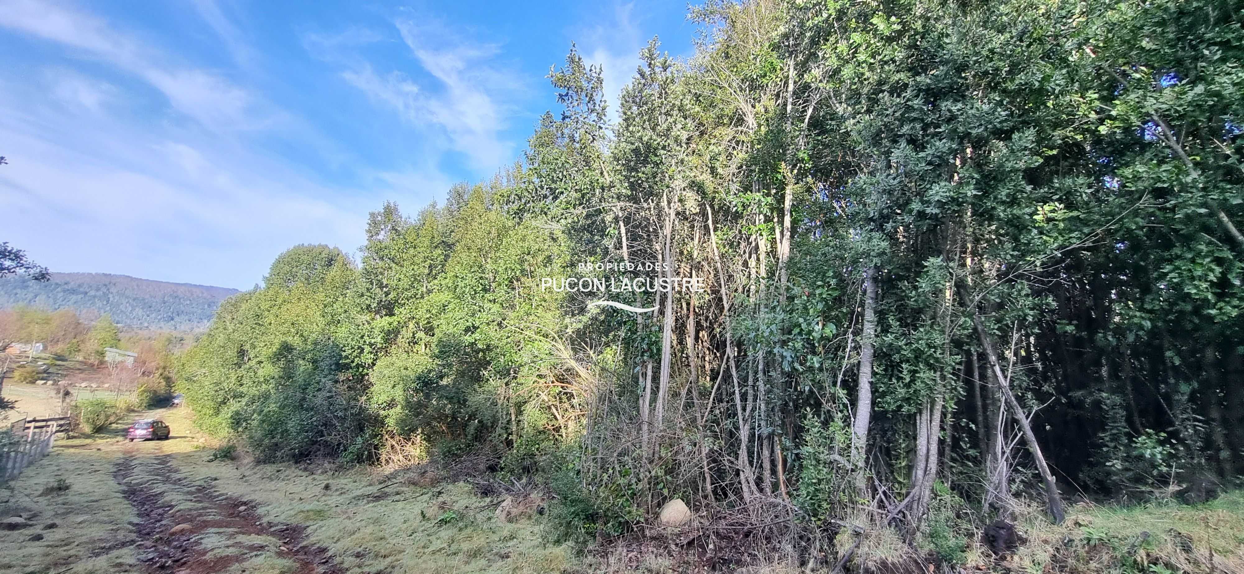 Parcela en Venta en Villarrica miniatura 4