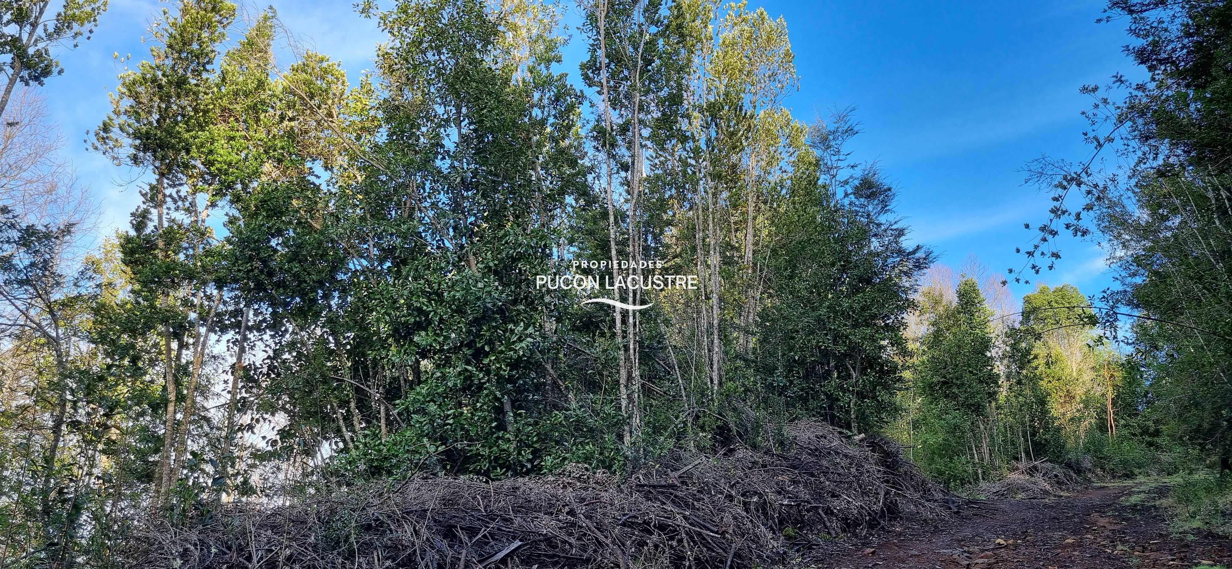 Parcela en Venta en Villarrica miniatura 7