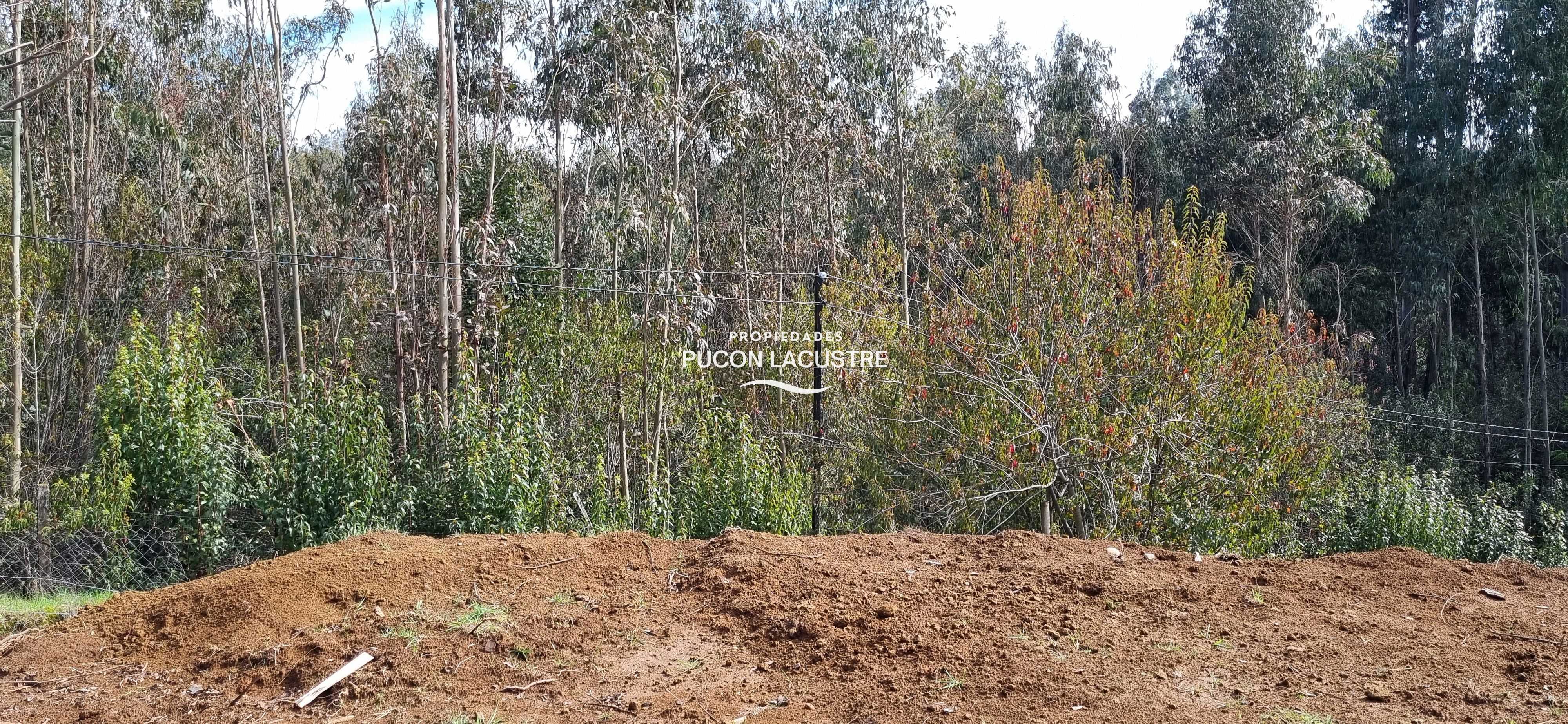 Parcela en Venta en Villarrica miniatura 17